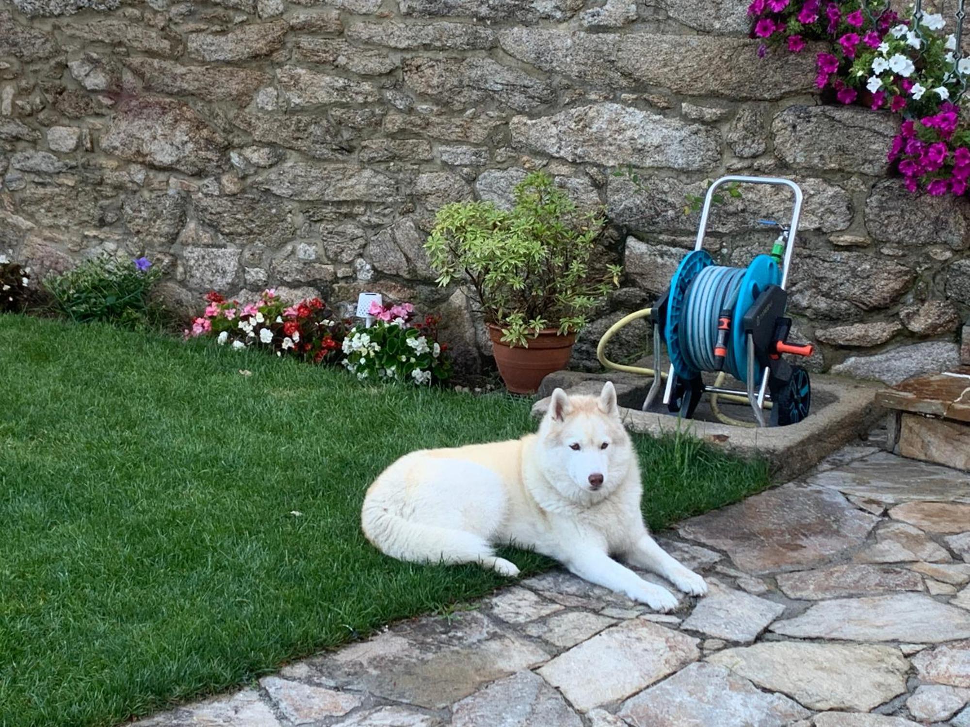 サンティアゴ・デ・コンポステーラ Casa De Costoiaゲストハウス エクステリア 写真