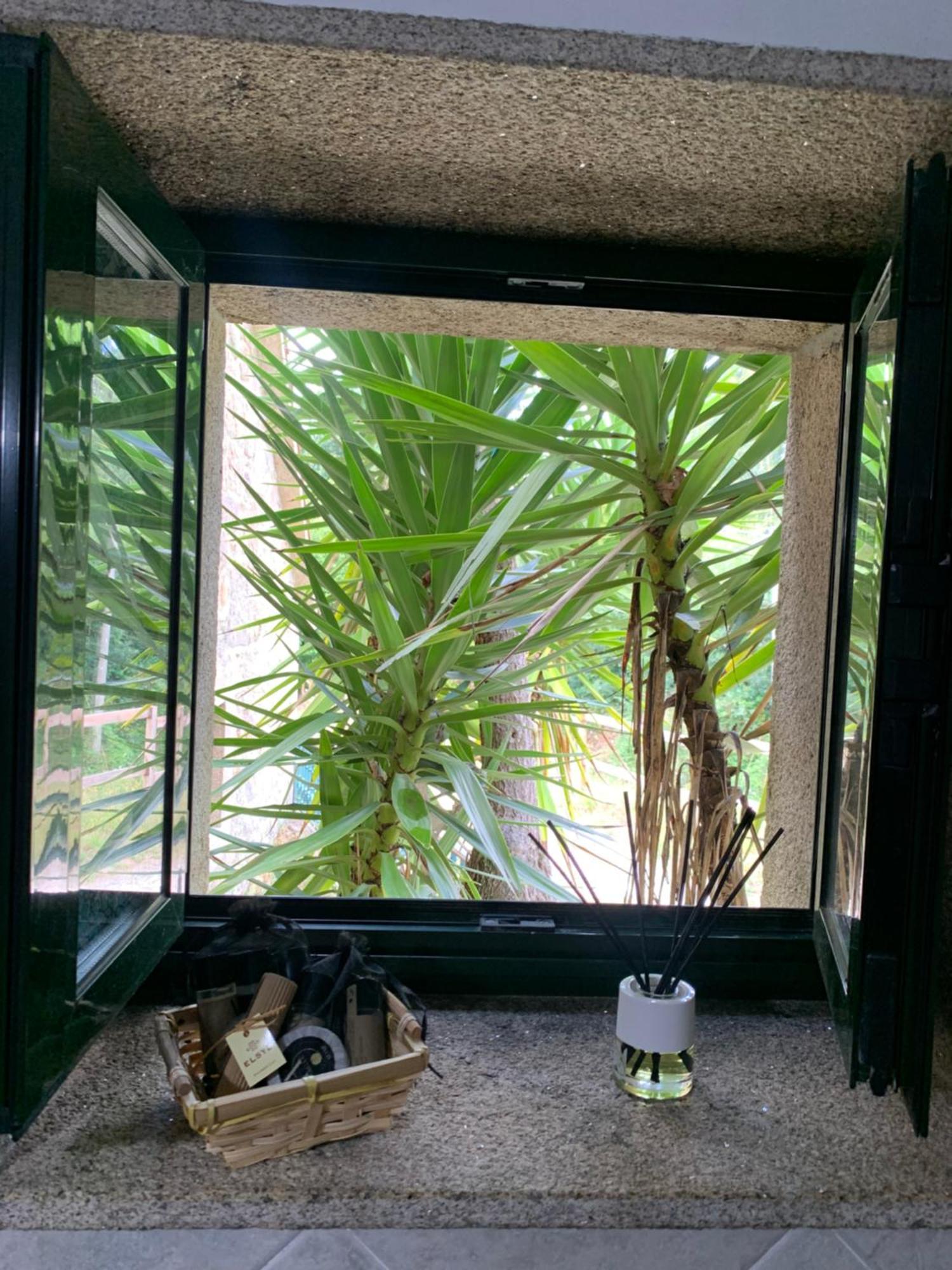 サンティアゴ・デ・コンポステーラ Casa De Costoiaゲストハウス エクステリア 写真